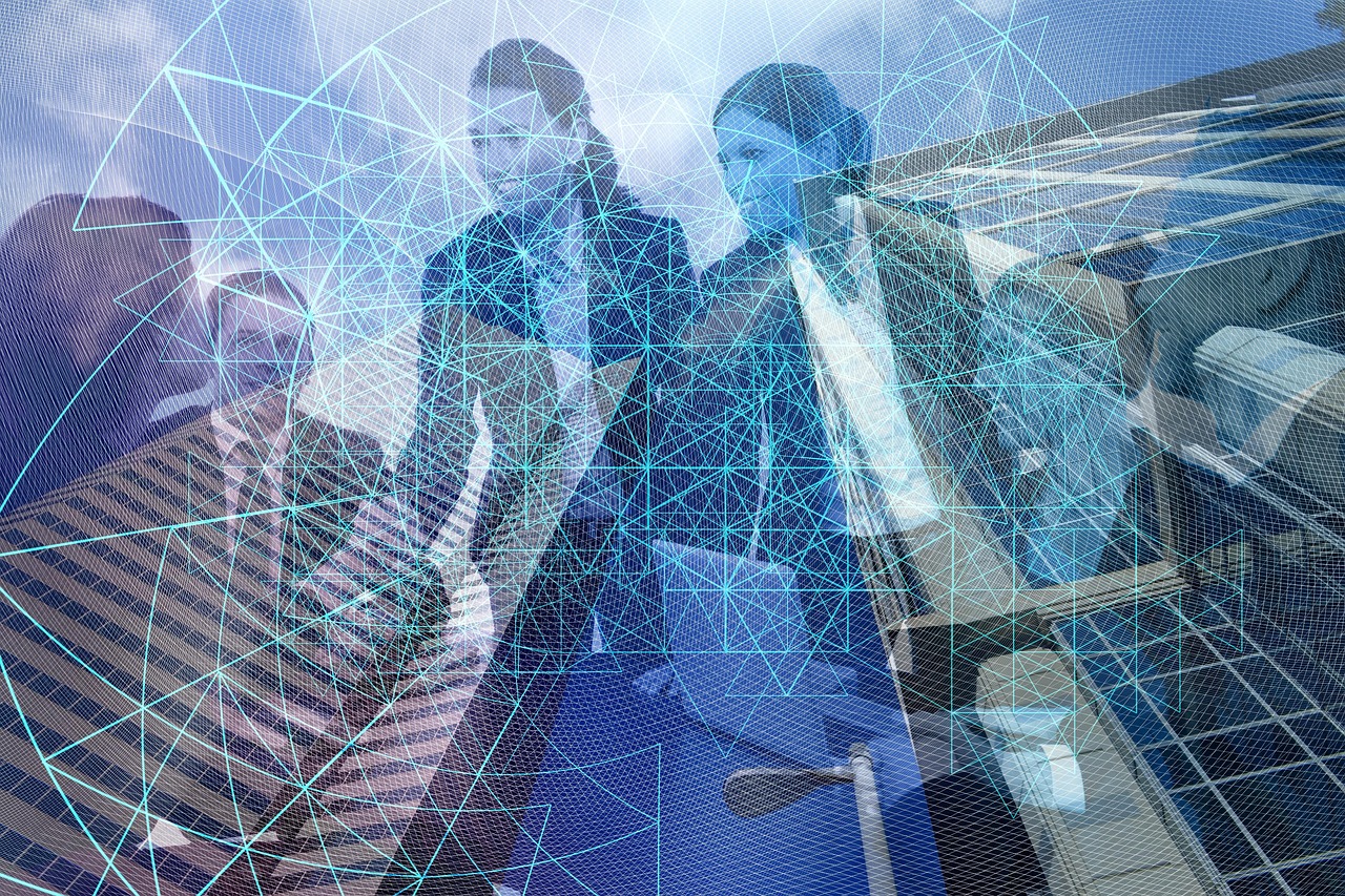 探探实名账号：购买猫咪必须到正规平台吗