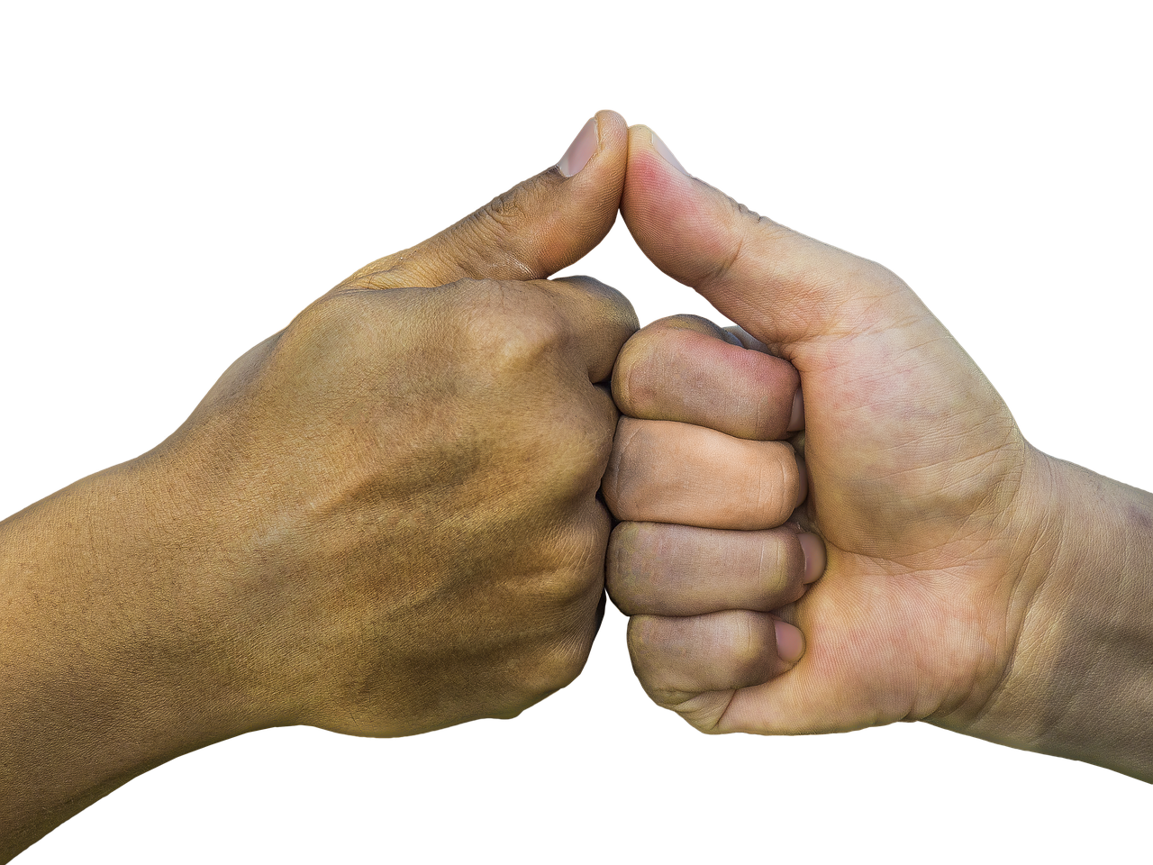 金洋6娱乐，注册|如何运用数据智能来提高企业营销