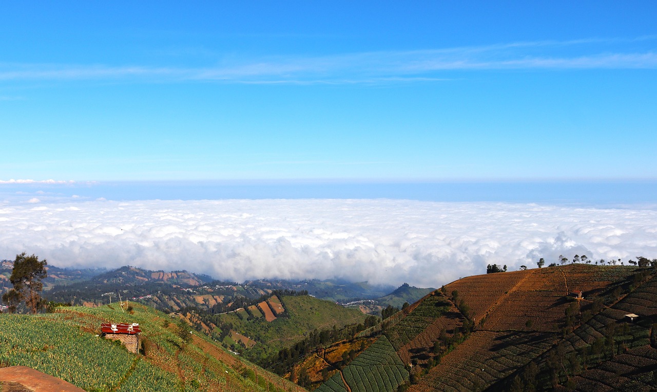 Peel百乐柠檬爆珠：iphone视频详情下载教程app