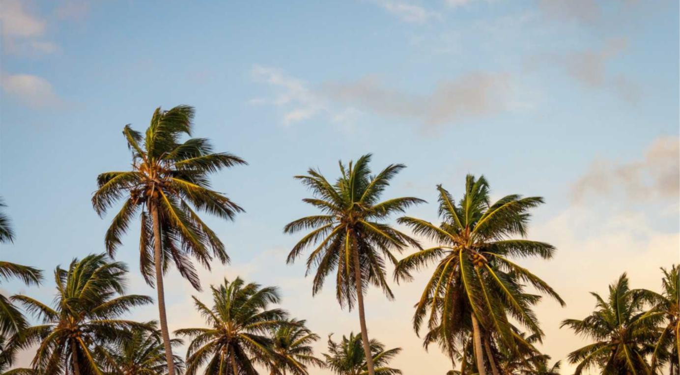 腾讯云国际站实名账号：青岛代理注册公司流程