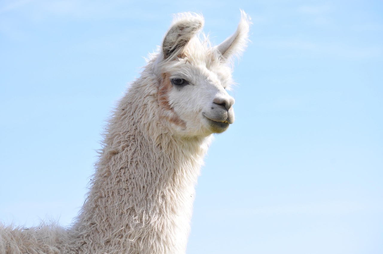 国内微信买卖：流量卡在广义物联网中的应用