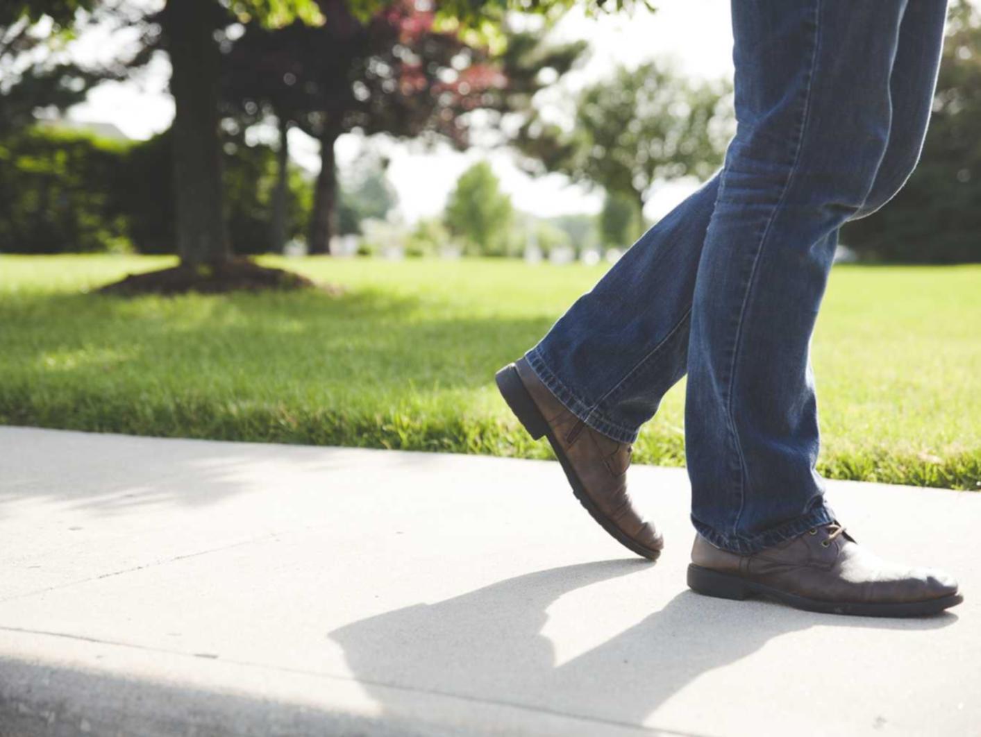 DDOS在线攻击平台|招标代理服务平台