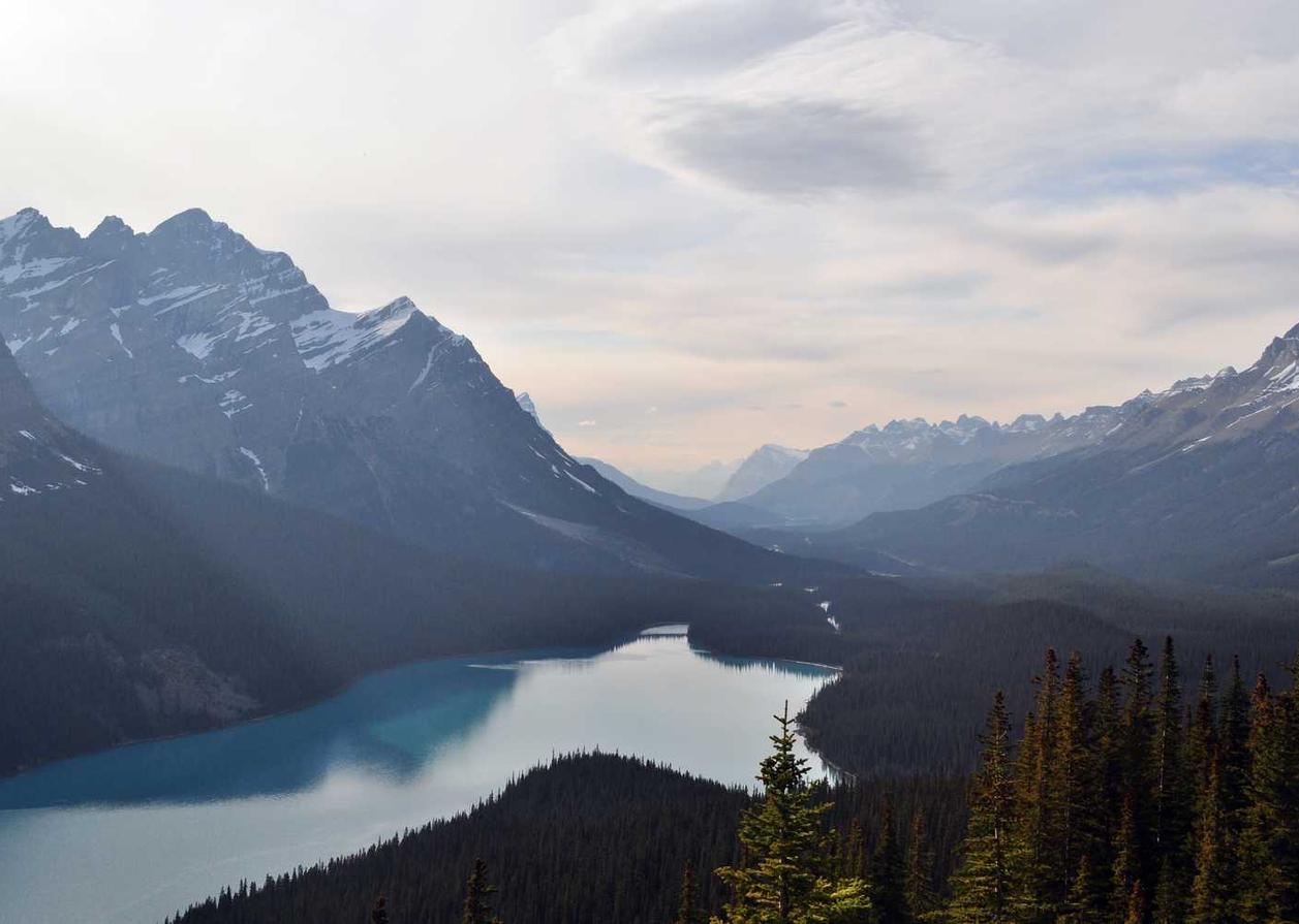 抽烟会产生哪些身体副作用？