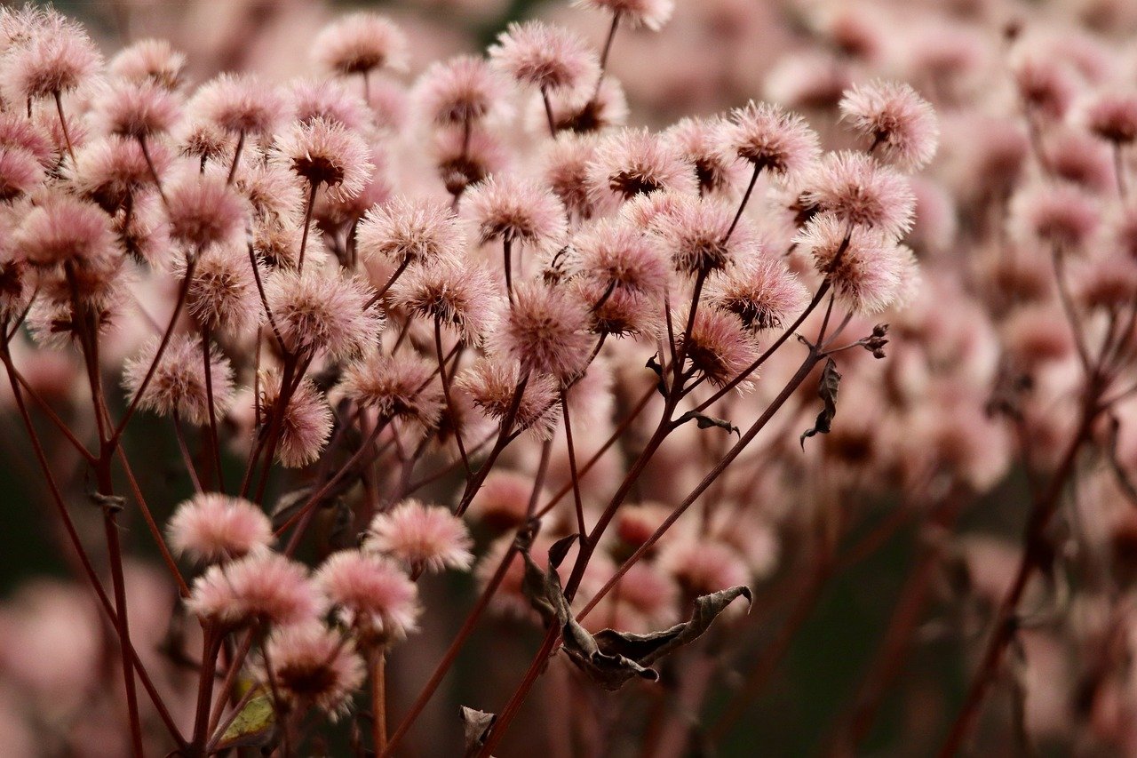 技术支持撕裂的游戏公平